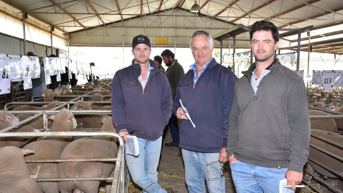 George (left), Garry and William Bungey, Highdenup Farms, Borden, were major buyers in the Poll Dorset section of the sale. They purchased 12 Poll Dorset sires to a top of $2700 and average of $2325.