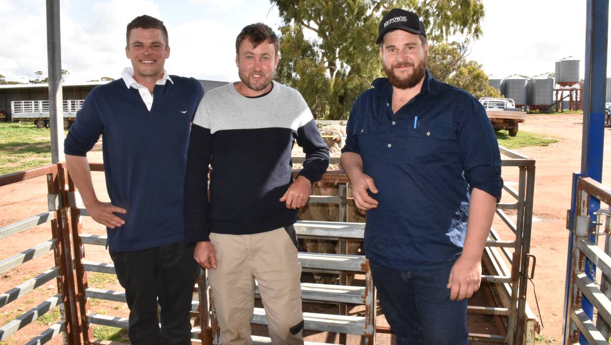 Blake (left) and Dylan White (right), Nepowie stud, Nomans Lake, with $7700 top price buyer Leon Pech, Boyagin Valley, Brookton, at last weeks on-property ram sale.