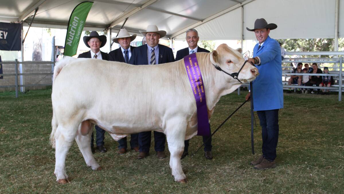 The 2022 Perth Royal Show interbreed junior champion bull was exhibited by the Venturon Charolais stud, Boyup Brook. With the bull Venturon Start The Party S97 was judges Glenn Trout (left), Moorunga Angus, Mornington Peninsula, Victoria, Rhett Mobbs, Gowrie Simmentals, Bell, Queensland and Brendan Scheiwe, Brendale Charolais and Toblo Droughtmaster studs, Tallagalla, Queensland and Venturon stud co-principal Harris Thompson.