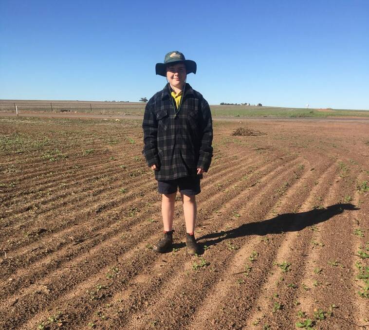 Alex O'Callaghan,14, is pictured standing in a canola paddock, with the crop just out of the ground, on his family's farm at Marchagee on Monday, but wheat and barley crops are looking good after 30mm of rain last week. Photograph by Michael O'Callaghan.