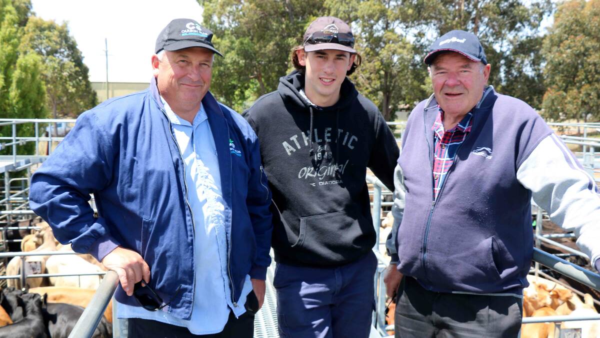 Among the many Brunswick/ Harvey boys at the Boyanup sale were Steven Italiano (left), his son Campbell, Brunswick and Vince Sgambelluri, Harvey.