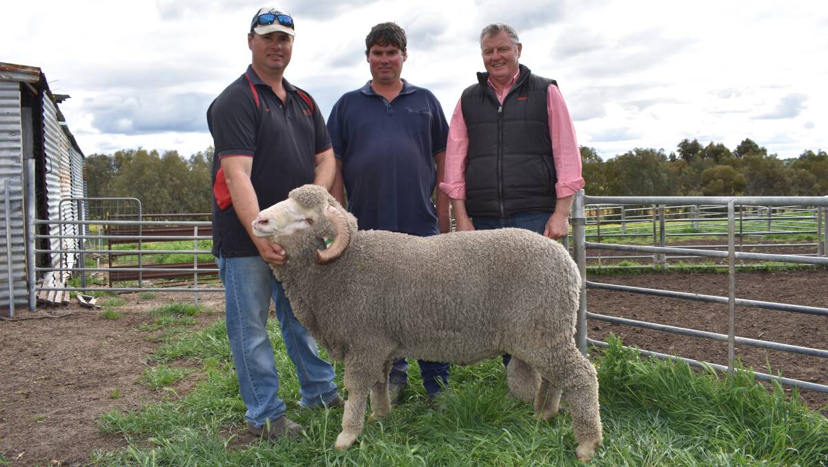 San-Mateo stud principals Nigel (left) and Damien Morrison, with Elders Beverley and Brookton agent Noel Morton and one of the two $2000 top-priced Merinos that both sold to Richard Guiness, RJ & CM Guiness, Corrigin.
