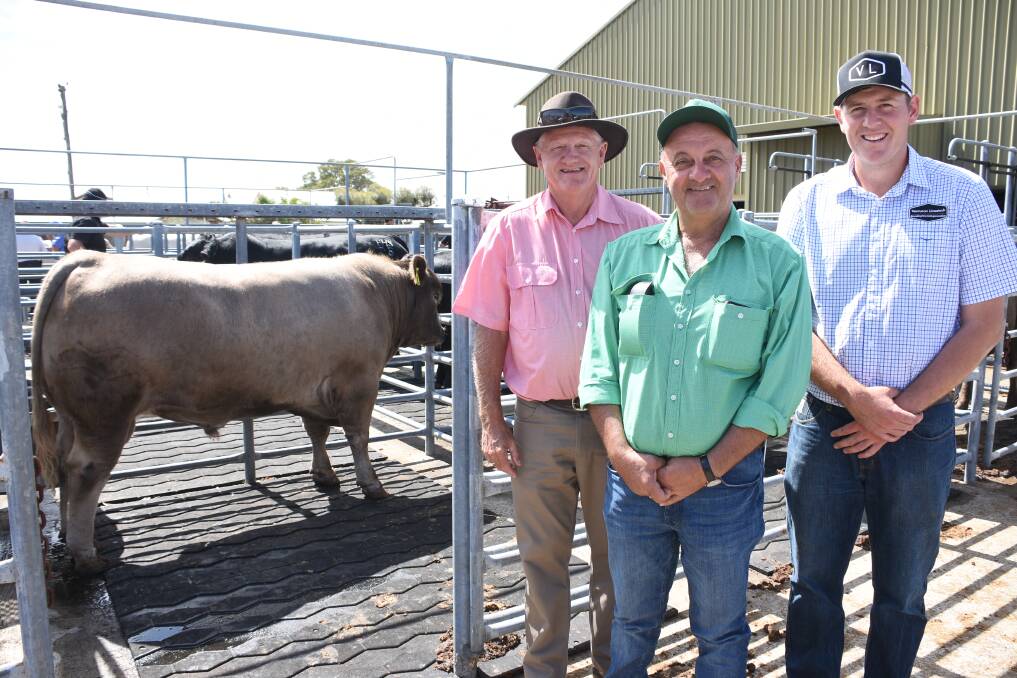  This Murray Grey sire from the Thompson family's Venturon stud, Boyup Brook, was the top-priced Murray Grey bull of the sale when it sold for $6000 to E Love & Son, Mundijong. With the bull are Elders Bridgetown/Donnybrook representative Deane Allen (left), Nutrien Livestock Harvey representative Ralph Mosca, who purchased the bull for the Loves and Venturon stud's Harris Thompson.