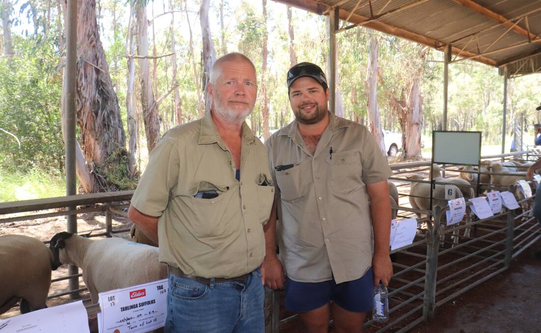 Nevelle (left) and Eric Penny, Yarloop, inspecting the rams before the sale at Boyanup last week. The Pennys finished the day with seven White Dorper ewes from the Ida Vale stud for an average of $351.
