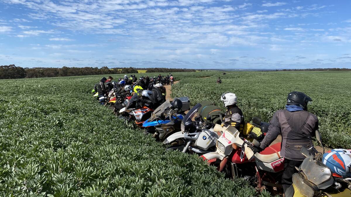 Some of the big motorbikes on the ADAMA WA 2-Wheel Trial Tour were almost dwarfed when they visited a fungicide trial in a flourishing faba bean crop on the Heggaton family's property near Kojonup