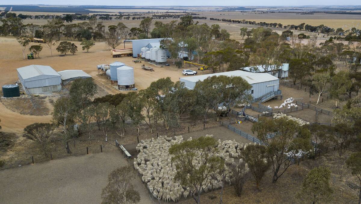 The mixed cropping and sheep property easily once ran more than 7000 sheep, but nowadays has been more conservatively stocked at about 3800 head.