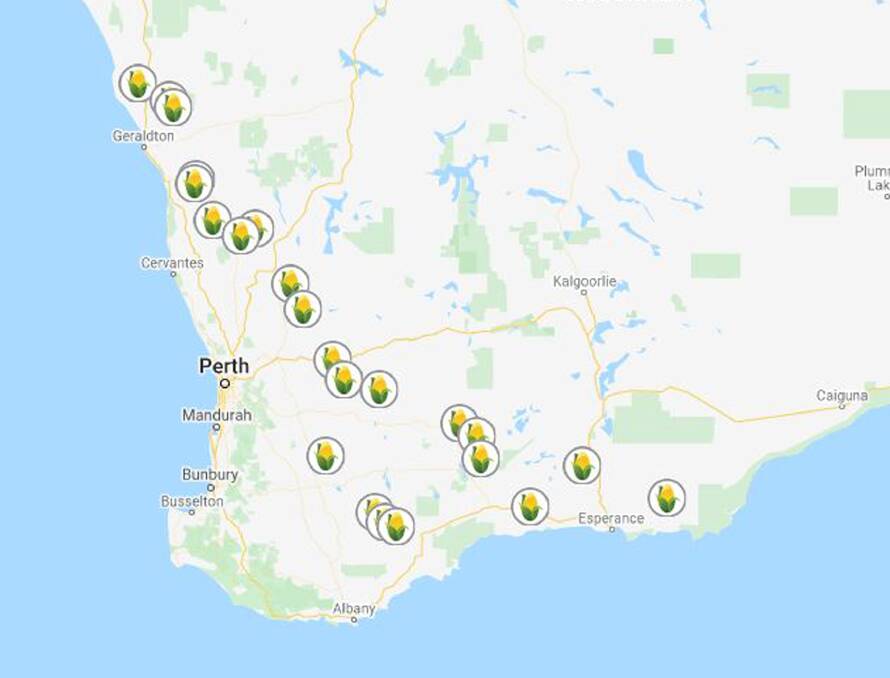 Westchester's agricultural WA portfolio, according to its website. The investor has 23 cropping properties in WA, which form a small part of its vast holdings across Australia, comprising 347 properties. Map: Map data 2020 Google.