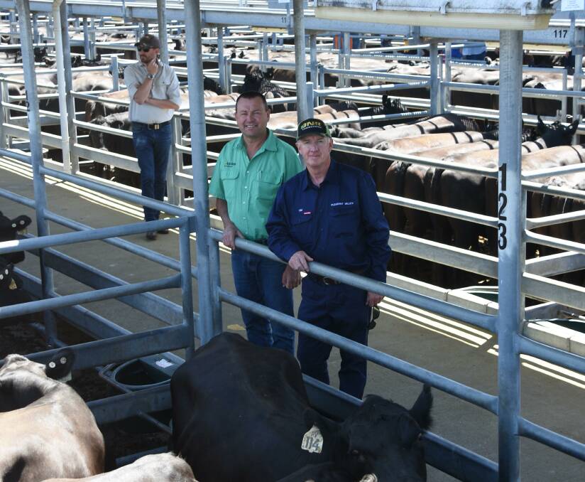 The Creedon family, Pleasant Valley Pastoral Co, Esperance, dispersed their Angus herd in the sale. Looking over some of their mature cows in the line-up were Nutrien Livestock, Esperance agent Darren Chatley and Tim Creedon.