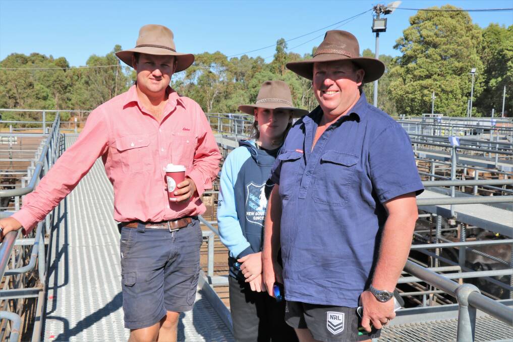 Elders, Boyanup/Dardanup representative Alex Roberts (left) went through the line-up before the sale with Aiden and James Shields, Mandurah, who were looking for a few cattle.