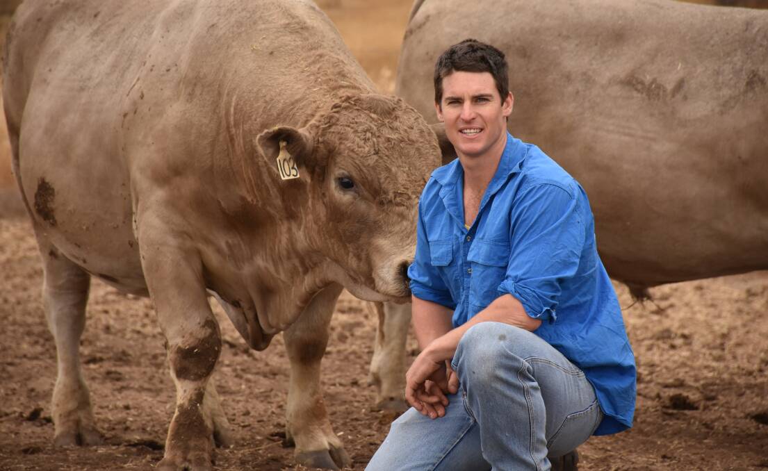 Katanning Murray Grey breeder Kurt Wise will join with former Wagin Woolorama ambassador Luke Hall as the new head stewards of the cattle section.