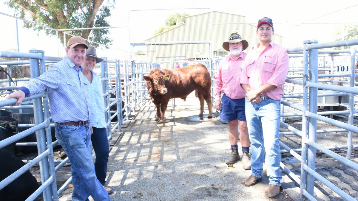 With the $6000 top-priced Limousin bull sold by the Kelside West stud, Brunswick, were Kelside West principals Mike Donaghy (left) and Kylie West, Elders, Capel representative Rob Gibbings, who purchased the bull for the Roberts family, KS & EN Roberts & Sons, Elgin and Elders trainee Alex Tunstill.