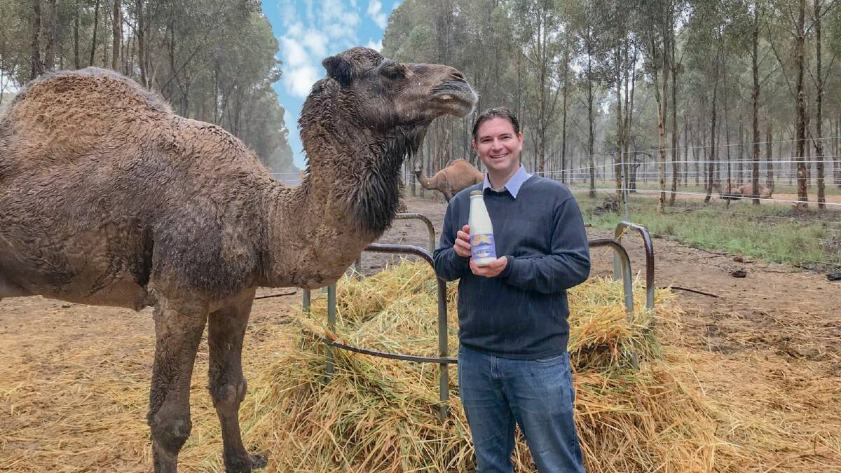 Good Earth Dairy chief executive officer Marcel Steigniesser said as consumers 'get over the hump' (pardon the pun), the dairy alternative would become a major staple on an international platform.