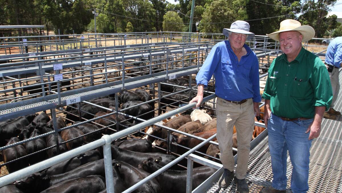 Vendor Bruce Campbell (left), AS & M Campbell & Son, Cooara Charolais and Angus studs, Keysbrook with Nutrien Livestock stud and commercial cattle manager Paul Mahony. The Campbell family sold Angus cross heifers and Charolais cross steers and heifers at the sale to $1683 and 446c/kg.