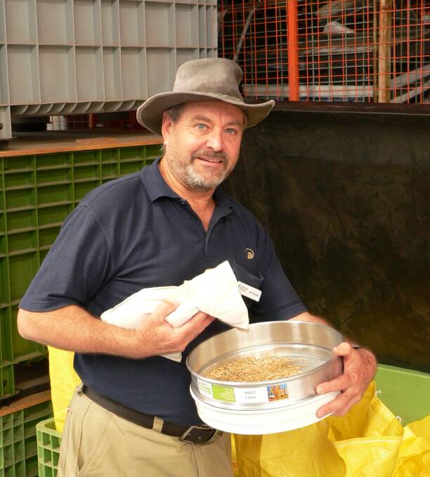 WA grain biosecurity officer Jeff Russell inspects harvest grain samples being prepared for storage at DPIRD's Northam Research Facility.