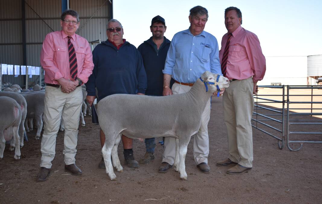 Elders stud stock British Breed specialist Michael O'Neill (left), buyers Allen and Nathan Lawrence, Canternatting Poll Dorset stud, Southern Brook, Shirlee Downs and Dongadilling studs co-principal Chris Squiers and Elders auctioneer, Graeme Curry, with the $8800 second top-priced Shirlee Downs stud Poll Dorset sire.