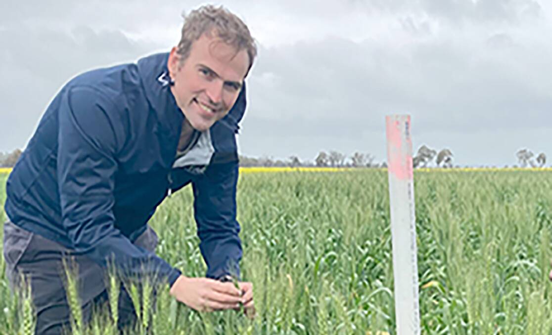 FAR Australias Kenton Porker will head up a three-year GRDC and FAR investment trialling novel in-season approaches to provide growers with confidence in adopting new management strategies to mitigate frost risk.
