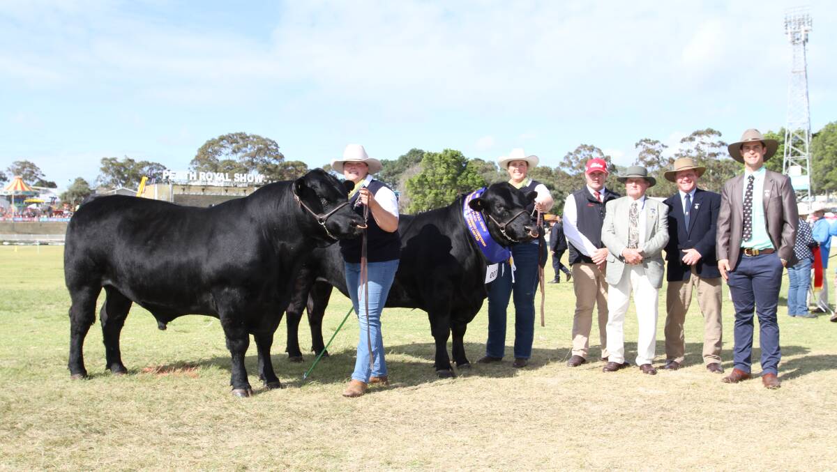 With the interbreed breeders pair of bulls exhibited by the Murray family, Tullibardine Angus stud, Albany, were handlers Rachel Williams (left), Wandering and Morgan Yost, Toodyay, Pearce Watling, representing award sponsor Elders Limited and judges Charles and Peter Cowcher, Willandra Simmental and Red Angus studs, Williams and Kurt Wise, Southend Murray Grey stud, Woodanilling.