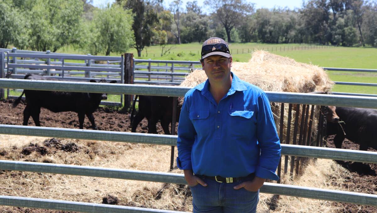  Brunswick Junction lotfeeder Rodney Galati said it was an "insult to our industry" that the State government hadn't resolved the issue of a new South West saleyards facility.