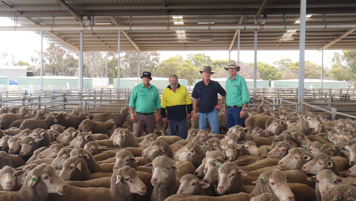  Nutrien Livestock, Katanning representative Wayne Fuchsbichler (left), buyers Neil Wilson, Mt Barker and Greg Stothard, Mt Barker and Nutrien Livestock, Mt Barker agent Charlie Staite, with the $200 line of 651 August shorn Cranmore Park blood, 1.5yo ewes from AJ Staniforth-Smith purchased by the Wilsons. Mr Stothard purchased a line 5.5yo ewes later in the sale.