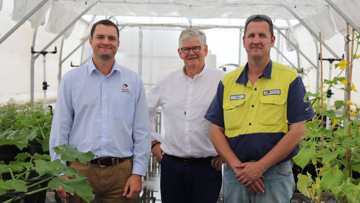  Imtrade national technical manager Michael Macpherson (left), managing director Ross Rainbird and general manager Neil McPhee in the company's greenhouse, where all its products are tested.