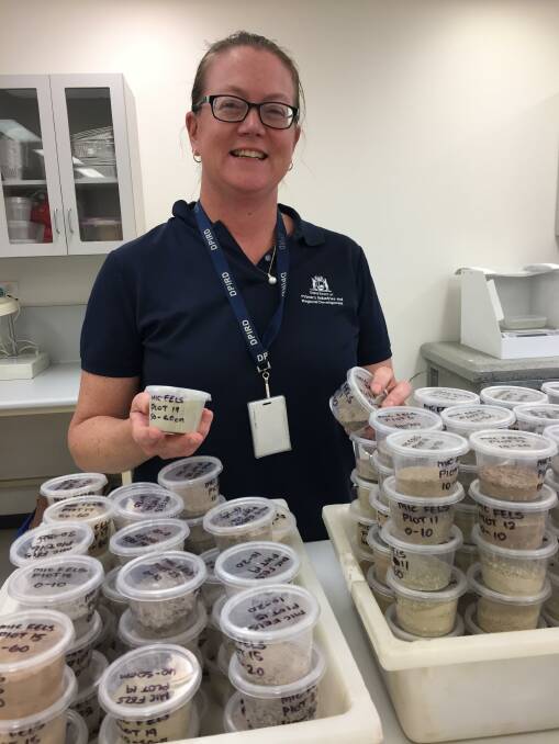 DPIRD research scientist Bindi Isbister, hosted a webinar to celebrate National Science Week profiling soil amelioration research to improve soil health and crop productivity, with colleague Jenni Clausen.