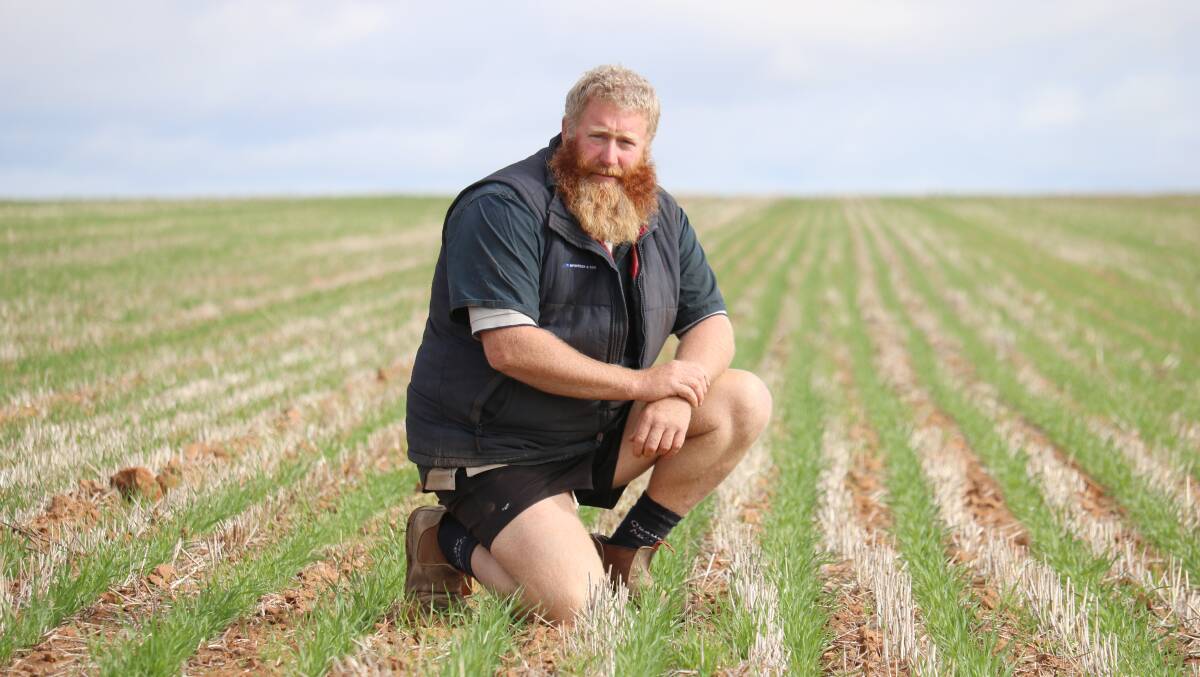 Campbell Jones is hopeful the current season will replicate the solid results he had in 2018 at Cowcowing. His crops are looking good after a reasonable rainfall spread in June.