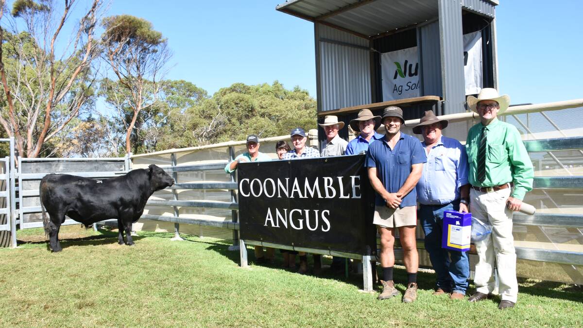 The Davis family, Coonamble Angus stud, Bremer Bay, sold the overall second top-priced bull and the top-priced bull at a single vendor sale this season when this sire sold for $72,000 to the Bairstow family, Arizona Farms, Lake Grace, at their on-property sale in February. With the bull Coonamble Frontman R501 were Nutrien Livestock Great Southern manager Bob Pumphrey (left), buyers Karen and Noel Bairstow, Coonamble principals Murray and Craig Davis, Luke Bairstow, Zoetis representative Ben Fletcher, who sponsored the top price buyer prize and Nutrien Livestock auctioneer Tiny Holly.
