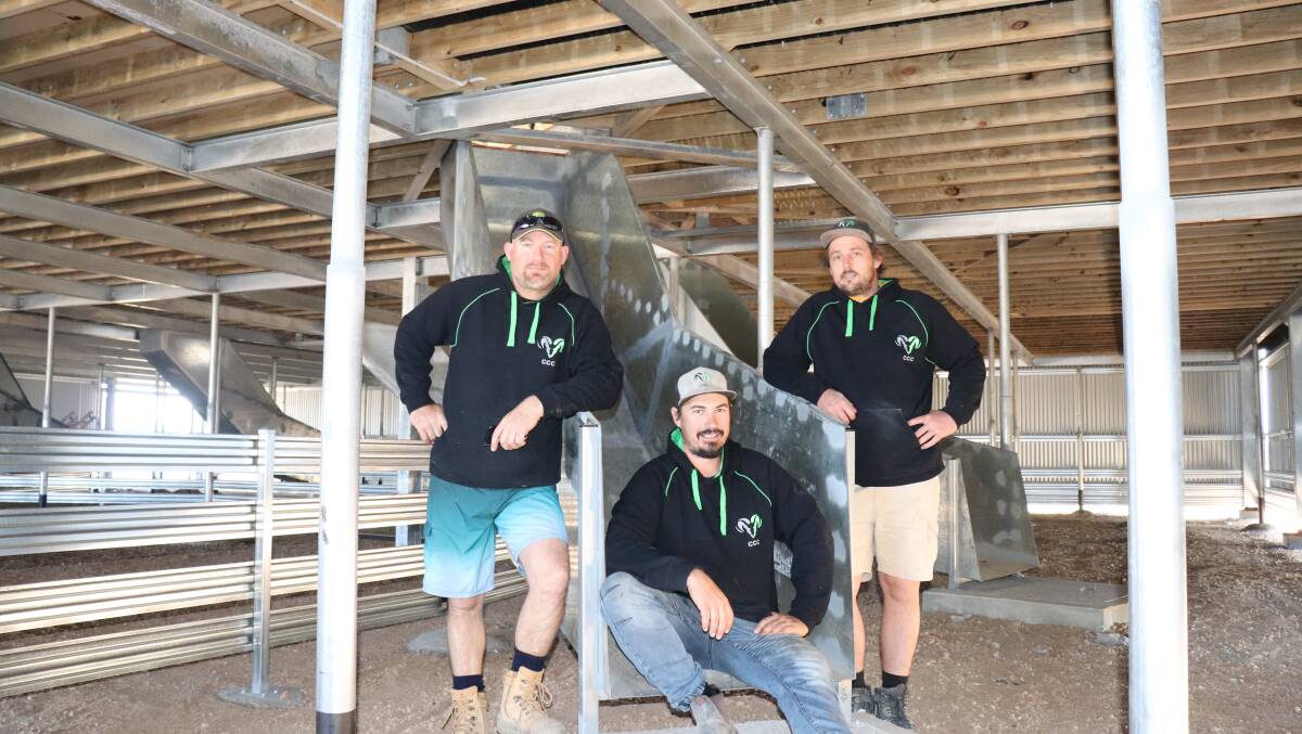 Dan Robbins (left), Chad Lavender sitting in a chute shorn sheep come down and Brady Williamson in the counting-out pens. The 2.7 metre underfloor height is to allow a skid-steer loader in to clean out 61 centimetres of sheep manure a year.
