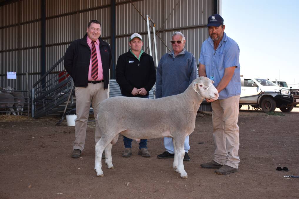 This Poll Dorset ram from the Shirlee Downs stud, Quairading, was the second top-priced British and Australasian breed ram for the season when it sold for $19,200 at the Shirlee Downs and Dongadilling on-property ram sale. With the ram were Elders stud stock manager Tim Spicer (left), Nutrien Livestock Kojonup agent Troy Hornby, buyer George Pearce, Orrvale Poll Dorset stud, Kojonup and Shirlee Downs and Dongadilling studs co-principal Sascha Squiers.