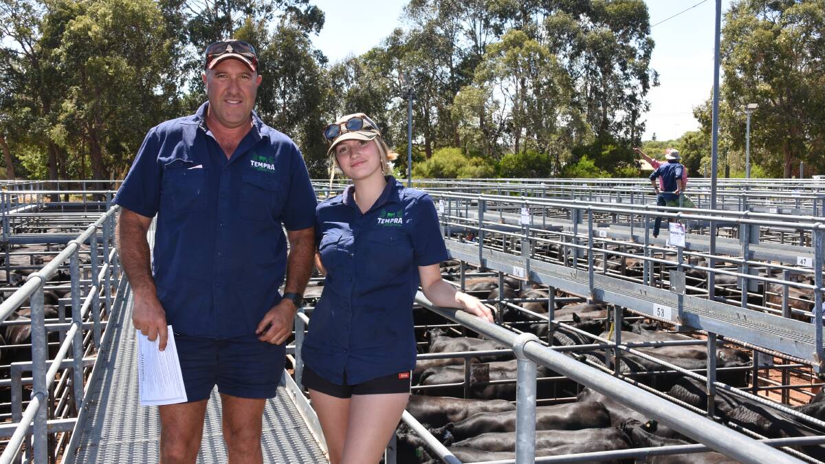 Inspecting the heifers before the sale were Andrew Tempra, Tempra Bros, Manjimup and Lucy Tartaglia. In the sale Tempra Bros purchased 12 Angus heifers at an average of $1946 from two vendors.
