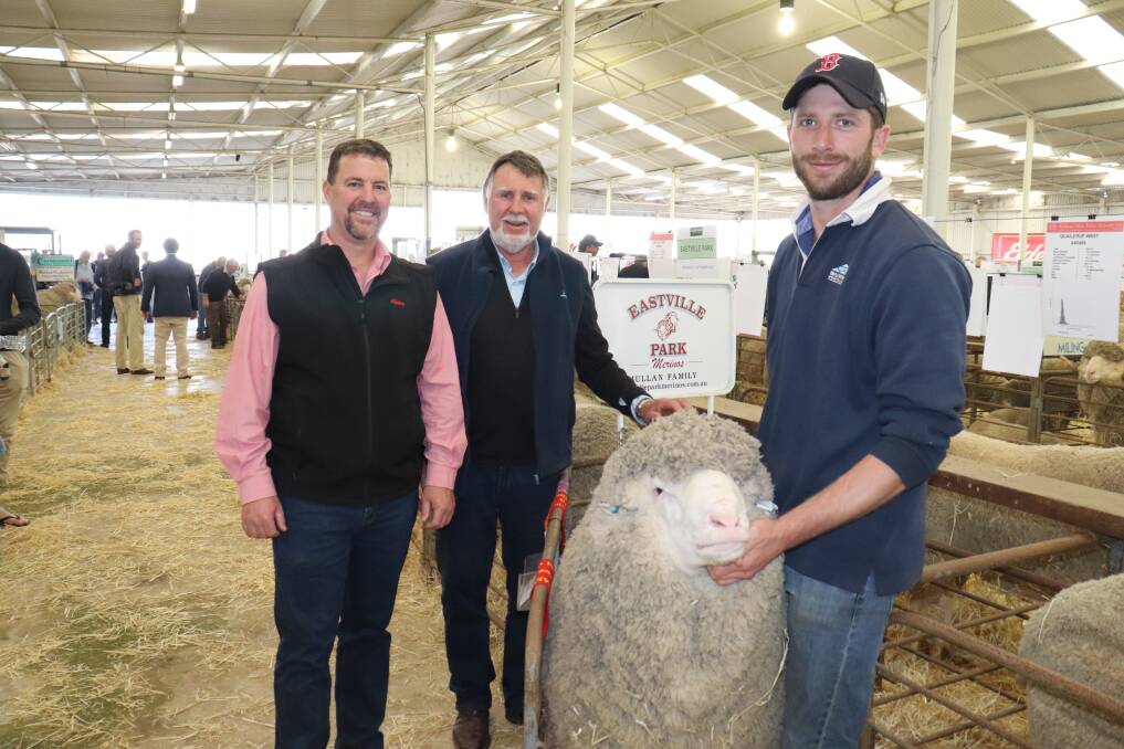 Elders stud stock representative Nathan King (left) examined this Quailerup West Poll Merino ram which was sashed the reserve champion fine/medium wool ram at the recent Australian Sheep & Wool Show at Bendigo, Victoria, with Rob and Todd Mullan, Eastville Park and Quailerup West studs, Wickepin.