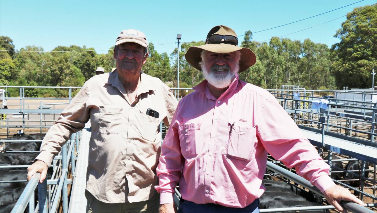 Kim Tuckey (left), Pinjarra, caught up with Elders, Capel representative Rob Gibbings before the sale. Mr Gibbings was a major buyer during the sale.