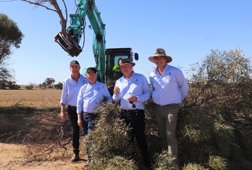 Kochii Eucalyptus Oil's director and local farmer Ian Stanley (left) chief executive officer Steve Meerwald, manager Mike Walter and manager forestry, science and compliance Dan Wildy at a harvest site on the McCreery family farm at Kalannie.