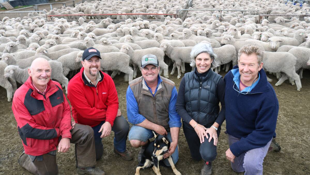 Elders Gnowangerup representative Richard Poulish (left) and stud stock specialist Nathan King with Willemenup stud co-principal Collyn Garnett and pup Torvi, Gnowangerup and Barloo stud principals Cindy and Richard House, Gnowangerup, spent time sorting through these drop lambs following the sale of Willemenup to the House family.