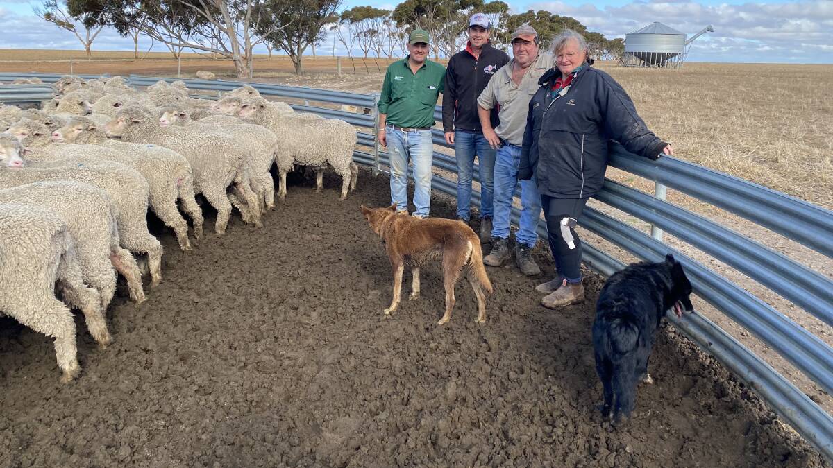 The Derella Downs and Pyramid Poll stud ewe flocks are heading to a new home at Dudinin, with the Pickering family, Cascade, announcing this month, they have sold 850 ewes ranging from 1.5 year to 3.5 years old and 300 ram lambs to the Ledwidth family, Kolindale stud. Going through the ewes involved in the sale were Nutrien Livestock Breeding representative Mitchell Crosby (left), Kolindale co-principal Luke Ledwith and Derella Downs and Pyramid Poll principals Scott and Sue Pickering.