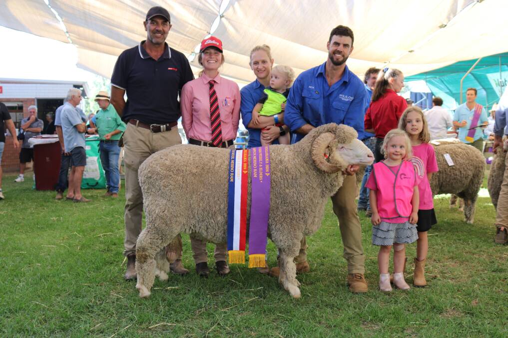 The Wise familys Wililoo stud, Woodanilling, exhibited the grand champion Merino ram. With the ram which was also sashed the champion medium wool Merino ram were sponsors Farm Weekly senior livestock representative Kane Chatfield (left) and Elders stud stock representative Lauren Rayner, with Wililoo co-principals Tegan and Rick Wise and their children Hunter (20 months), Eva (4) and Lydia (5).