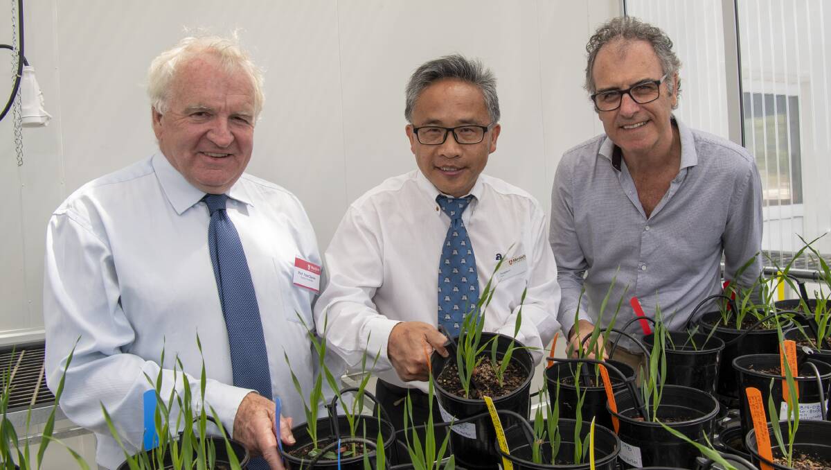 Peter Davies (left), Murdoch University, Chengdao Li, Western Crop Genetics Alliance and Mark Sweetingham, Department of Primary Industries and Regional Development, at the recently opened Grains Research Precinct.