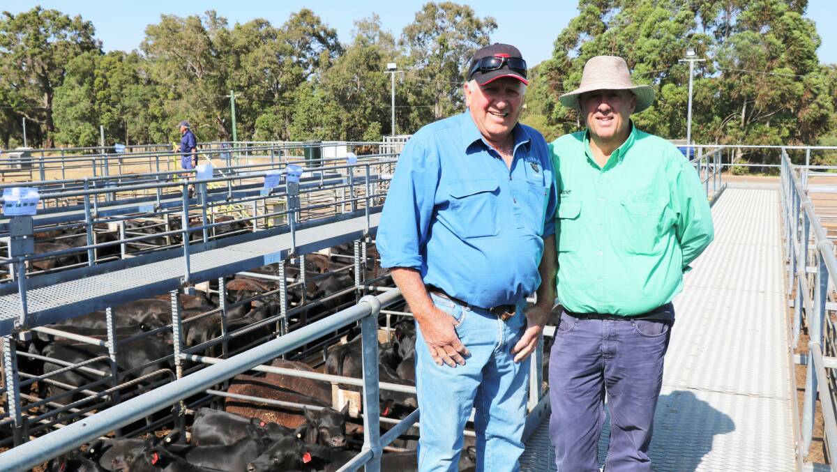 Vendor Daryl Robinson (left), Murray River Farms, Waroona, with Mark McKay, Nutrien Livestock, South West livestock manager at the WALSA weaner sale at Boyanup last week. The Wylie Groups Murray River Farms Angus steers were outstanding and sold to $1932.