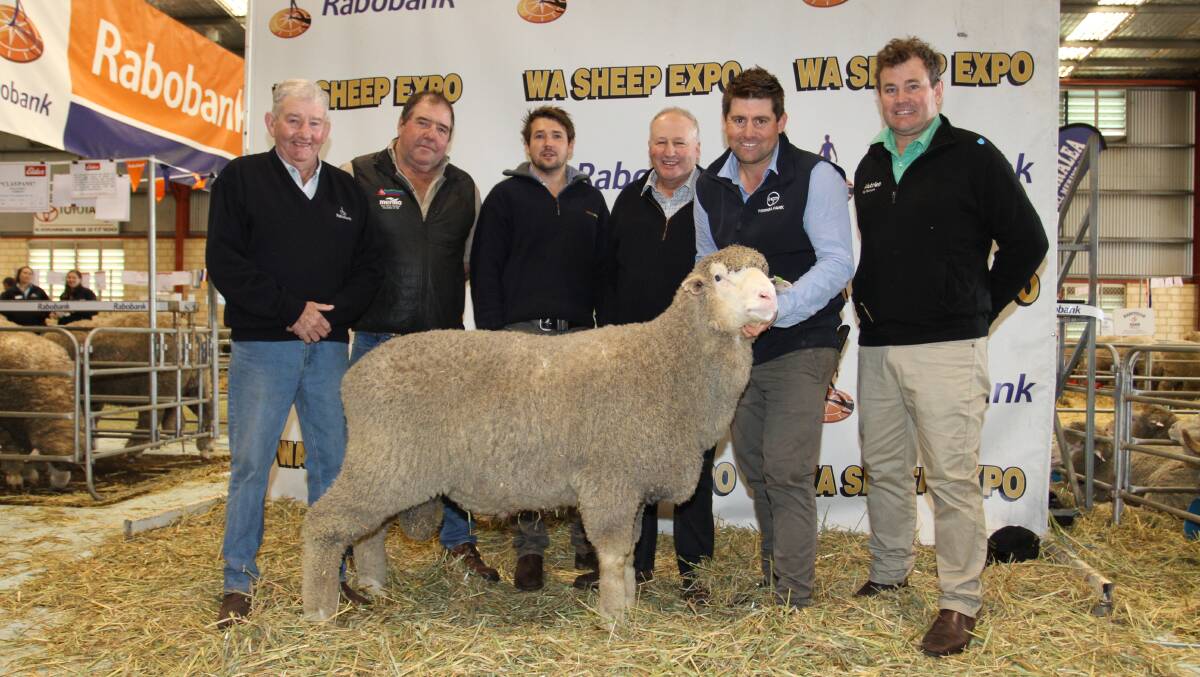 The Wiringa Park stud, Nyabing, led the private sales at last week's Rabobank WA Sheep Expo & Ram Sale at Katanning when it sold this two-tooth Poll Merino ram for $40,000 to the Woodyarrup stud, Broomehill and the Pyramid Poll stud, Cascade. With the ram once the sale was announced were Wiringa Park classer Philip Russell (left), buyers Scott Pickering Pyramid Poll stud and Lachlan and Craig Dewar, Woodyarrup stud, Wiringa Park stud principal Allan Hobley and Nutrien Livestock Breeding representative Mitchell Crosby.