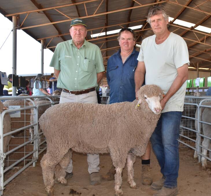 Wynarling studmaster Les Sutherland, Perenjori, holds the top price Poll Merino ram at the Chapman Valley ram sale. With him is Trevor Smythe (left), Landmark Geraldton and buyer Paul Blayney, Eradu, who paid the $2300 top as well as $2000 for the team leader.