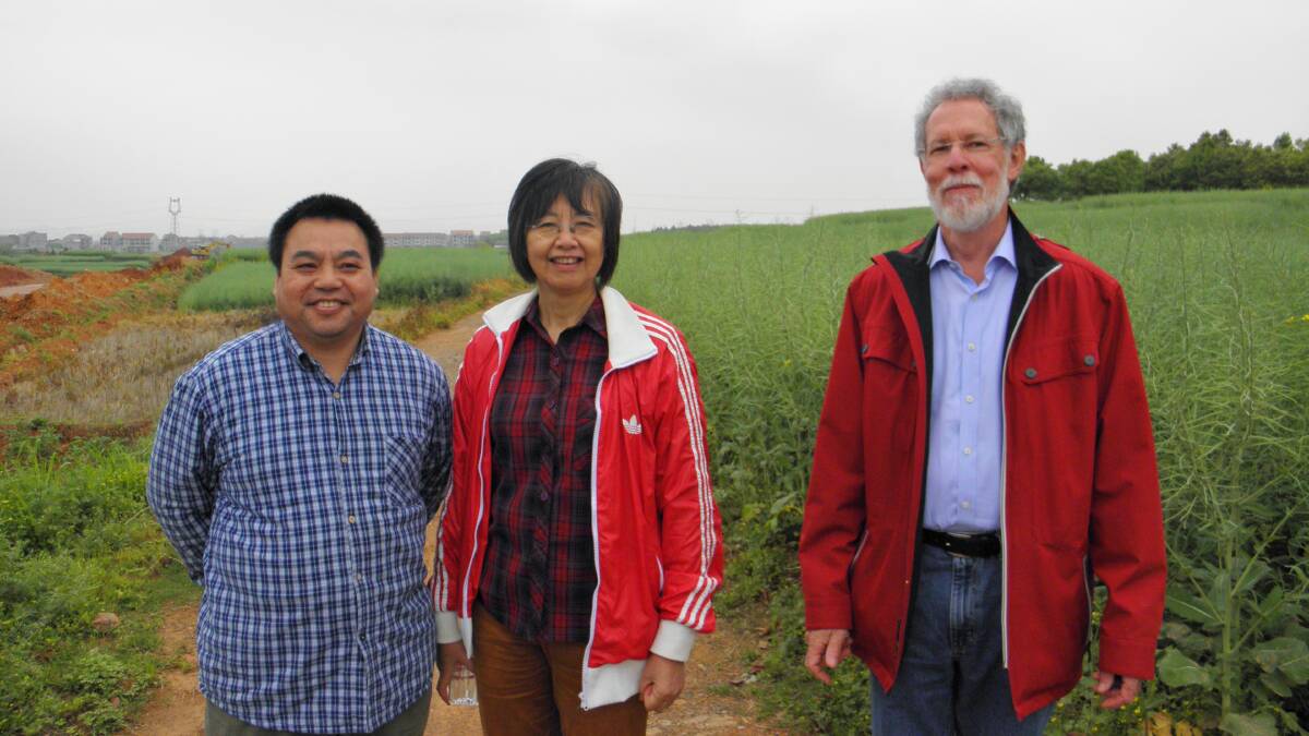 UWA School of Agriculture and Environment and Institute of Agriculture professor Martin Barbetti (right) in China with professor Daohong Jiang (left) and Ming Pei You from Huazhong Agricultural University. Photo by UWA.