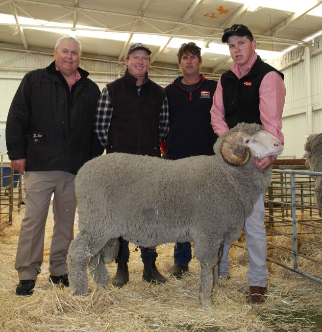 This two-tooth March shorn East Mundalla Merino ram sold privately to the Wanjalonar stud, Narambeen, for $7500. With the ram were Wanjalonar stud classer Kevin Broad (left), Elders stud stock, Daniel Gooding, East Mundalla stud, Tarin Rock, buyer Derek Hooper, Wanjalonar stud and Callum O'Neill, Elders stud stock trainee. Mr Hooper said the ram, AI bred by influential sire East Mundalla Jonty, was purchased for its outlook and presence.
"Kevin Broad and I came to the same conclusion it was the type of sire we needed," he said. "A very correct ram with good bone, horn set, masculinity in its muzzle and nourishment in the wool. "It's a good Wheatbelt sheep and will be well suited to our area."