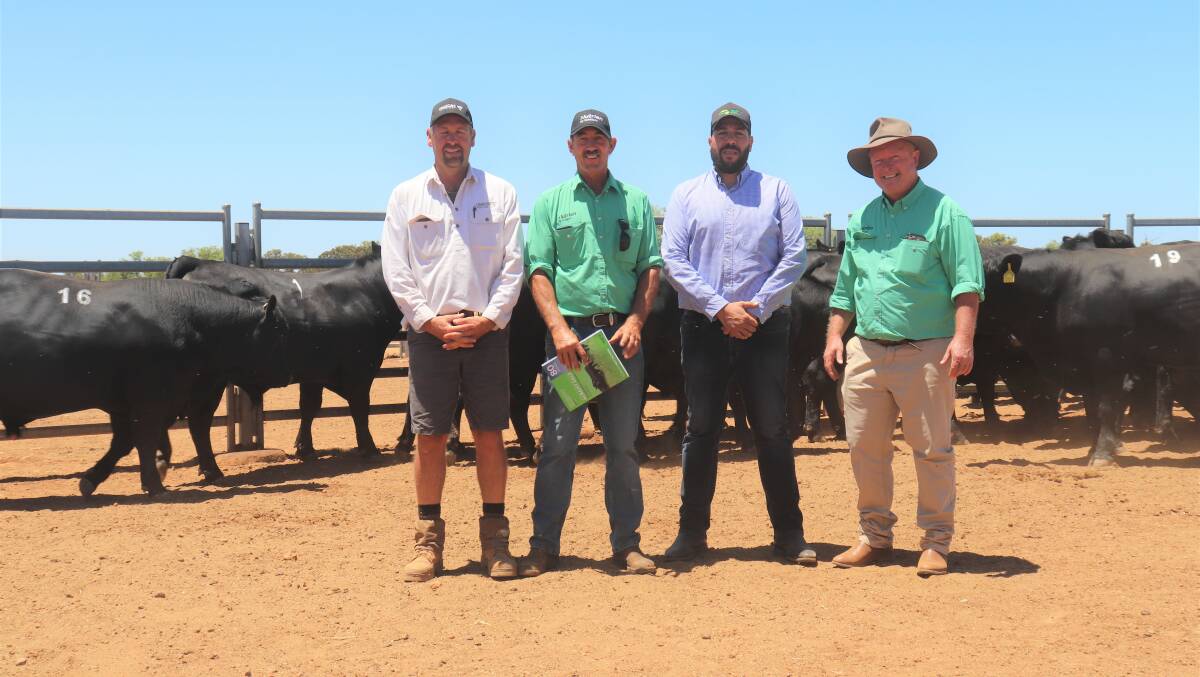 With some of the bulls after last week's Lawson Angus bull sale at Cataby where prices hit a high of $11,000 for a sire which sold to a New South Wales buyer operating on AuctionsPlus platform were Lawsons Angus WA stud representative Bevan Ravenhill (left), Nutrien Livestock, Gingin agent, Greg Neaves, Central Agri Group General Manager, Johnnie Dichiera and Nutrien Livestock, stud and commercial cattle manager Paul Mahony.