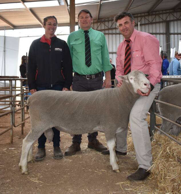 Orrvale stud co-principal Felicity Hallett, Nutrien Livestock Breedings Roy Addis and Elders Kojonup agent Jamie Hart with one of the stud's two $2900 equal top-priced rams that were both purchased by Mr Addis on behalf of client Tebco Fishing, Dongara.