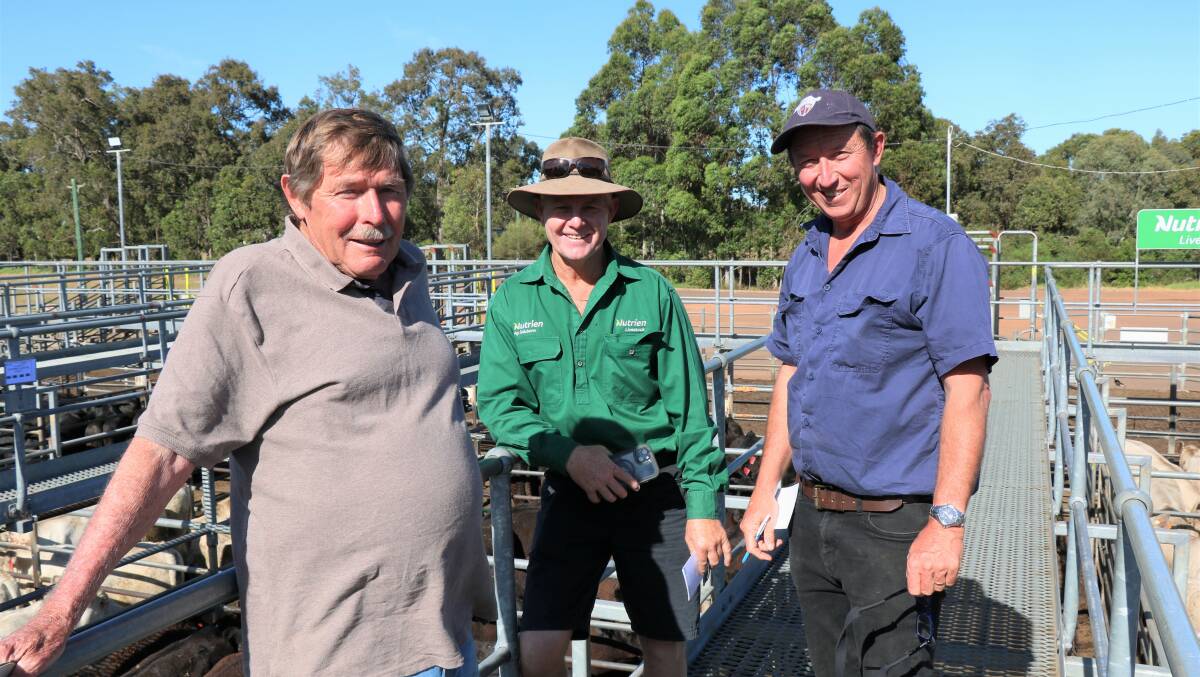 Jock Embry (centre), Nutrien Livestock, Margaret River, with Jim (left) and Nathan Bailey, Brown Hill Wines, Rosa Brook, before the sale.