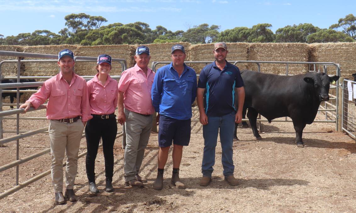 Taking home the top-priced $16,000 bull, Carenda Shockwave S34 at the Carenda bull sale was Bowie Beef Bridgetown. With the top-priced bull is Elders auctioneer and Gnowangerup representative James Culleton (left), Elders stud stock representatives Lauren Rayner and Russell McKay, Bowie Beef manager Mat Fairbrass and Carenda stud co-principal Matt Kitchen.
