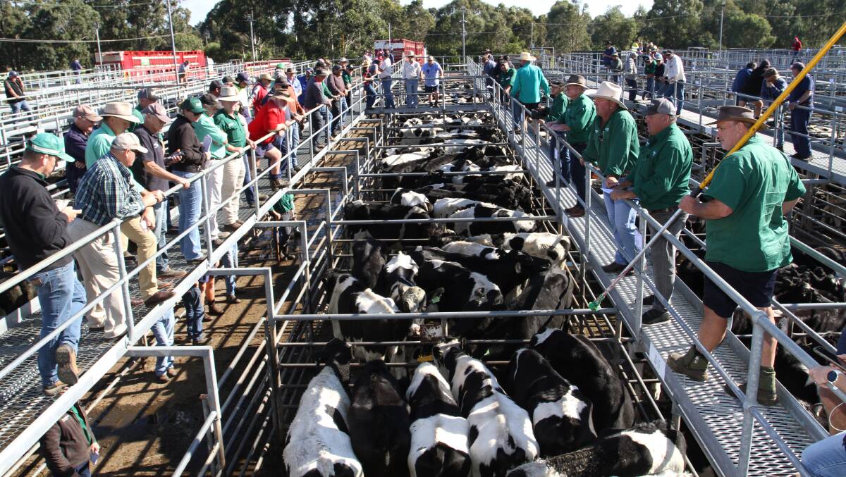 The State government and Shire of Capel have signed a 10-year lease extension for the Boyanup Saleyards.
