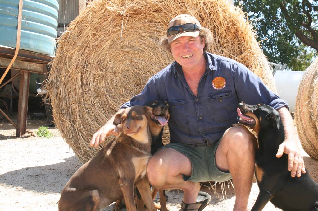 Wannamal farmer Iain Nicholson with his dogs Misty, Milly and Molly in front of some oaten hay bales.