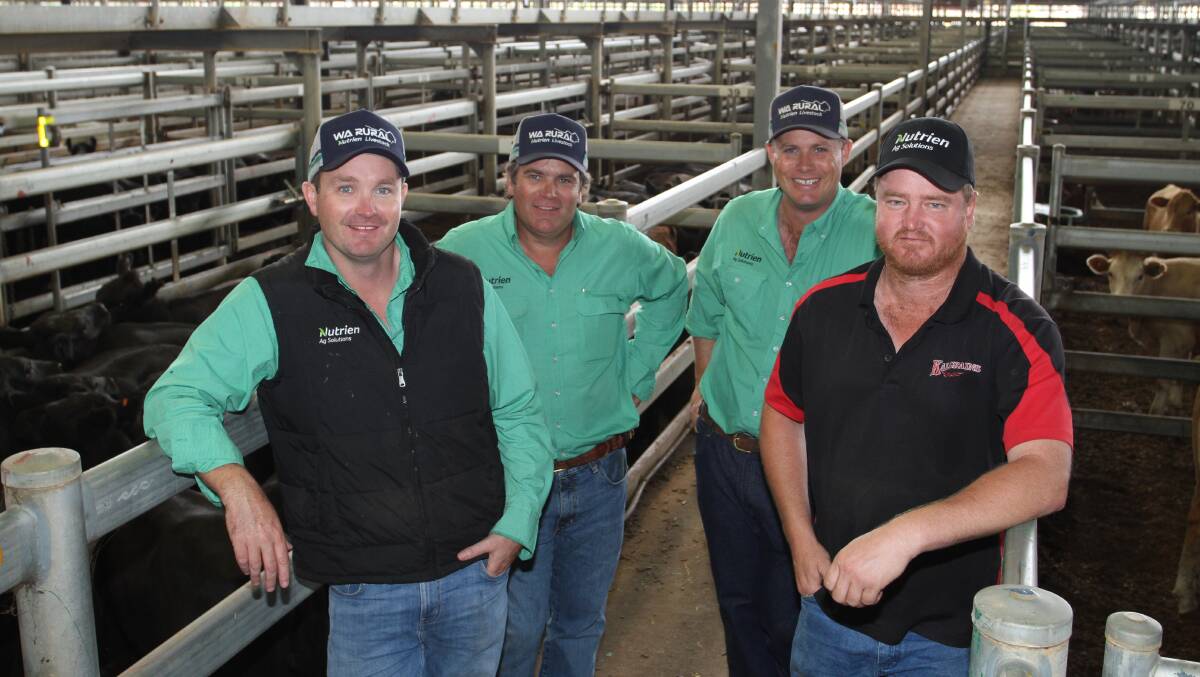 Nutrien Livestock Central Midlands agent and sale auctioneer Rhys Hebberman (left), Nutrien Livestock pastoral agents Richard Keach and Shane Flemming caught up with lotfeeding buyer Jamie Davies, Kalgrains, Wannamal, following the sale.