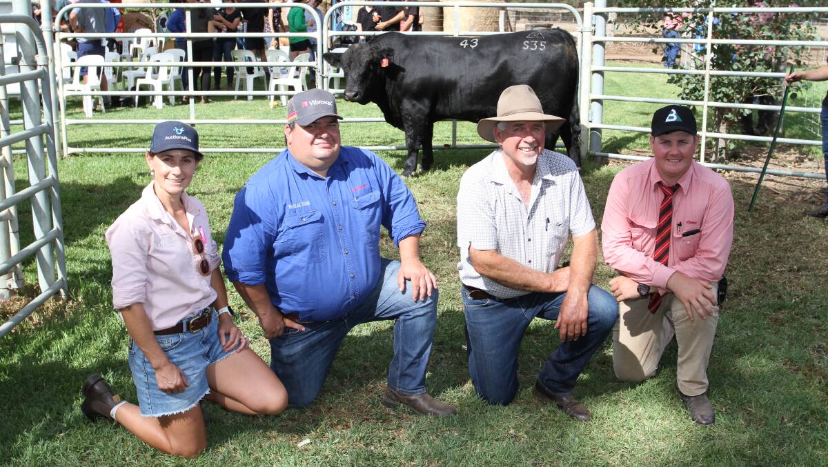 With the $23,000 equal top-priced bull Bonnydale Broad Range S35 (by Gibbs 7382E Broad Range) that sold on AuctionsPlus to Tony Horvath and Roslyn Ware, Fairview Black Simmental stud, Mungallala, Queensland, were Trinity Golding, Graze Media, representing AuctionsPlus, top-priced bull sponsor Jarvis Polglaze, Zoetis Australia, Bonnydale stud co-principal Rob Introvigne and Pearce Watling, Elders Donnybrook.